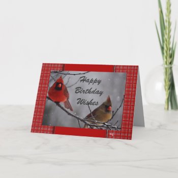 Cardinal 9191 Fv- Customize For Any Occasion Card by MakaraPhotos at Zazzle