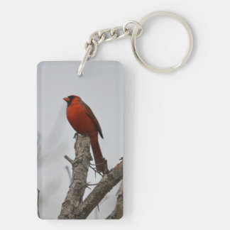 cardinal a top the tree. keychain