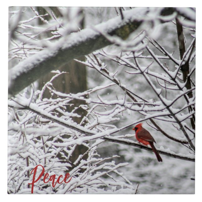Cardinal among snowy branches ceramic tile (Front)