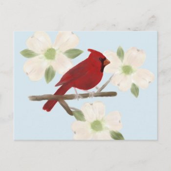 Cardinal And Dogwood Watercolor Postcard by sfcount at Zazzle