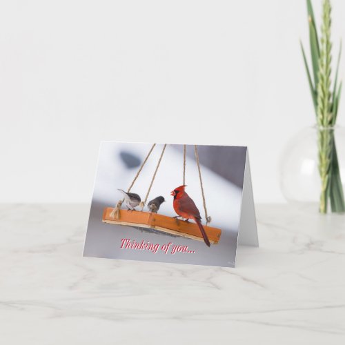 Cardinal and Juncos Thinking Of You Card