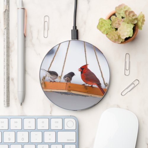 Cardinal and Juncos Wireless Charger