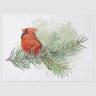 Cardinal and Pine Branches Watercolor Tissue Paper