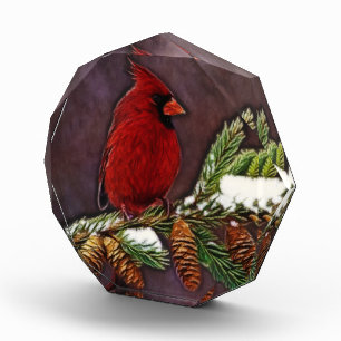 Cardinal and Pinecones Award