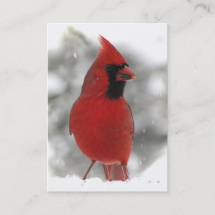 Cardinal ATC Business Card