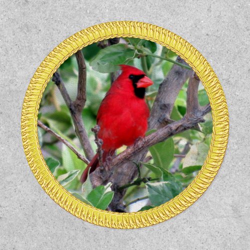 Cardinal _ Backyard Bird Series _   Patch