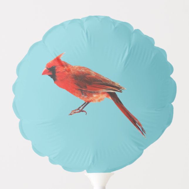 Cardinal Balloon (Front)