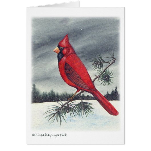 Cardinal Bird (Front)