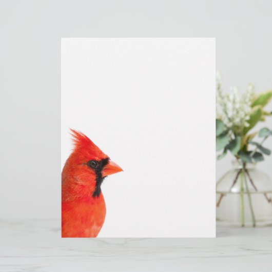 Cardinal Bird (Standing Front)