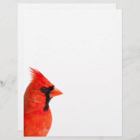 Cardinal Bird (Front/Back)