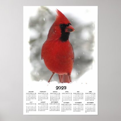Cardinal Bird 2023 Animal Calendar Poster