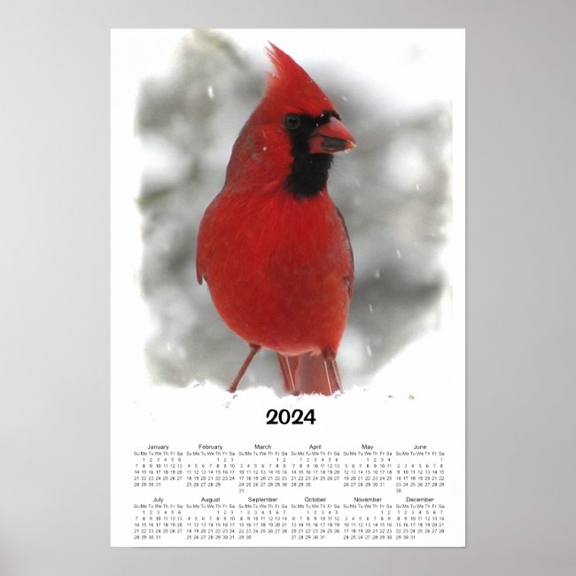 Cardinal Bird 2024 Calendar Poster