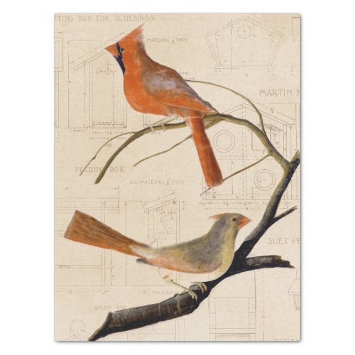 Cardinal Bird Birdhouse Blueprint Decoupage Red    Tissue Paper