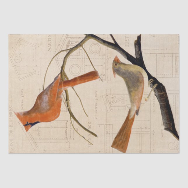 Cardinal Bird Birdhouse Blueprint Decoupage Red    Tissue Paper (Front)