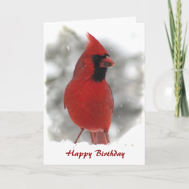 Cardinal Bird Birthday Card (Front)