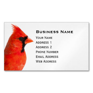 Cardinal Bird Business Card Magnet