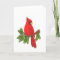 Cardinal  bird card 