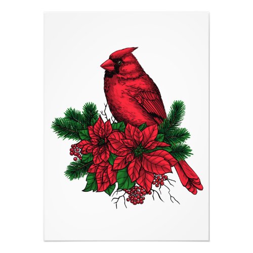 Cardinal bird Christmas illustration Photo Print