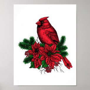 Cardinal bird, Christmas illustration Poster