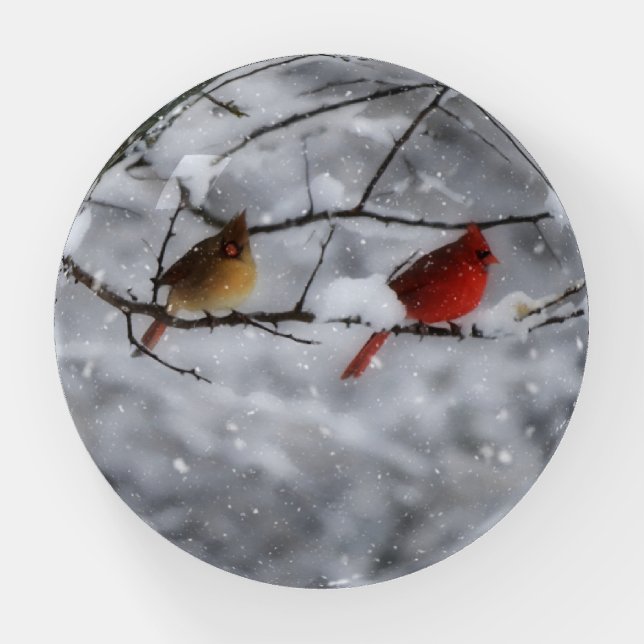 Cardinal Bird Couple in A Snow Tree Paperweight (Front)