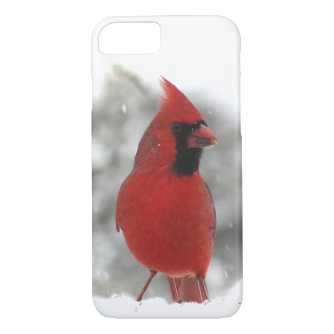 Cardinal Bird iPhone 8/7 Case