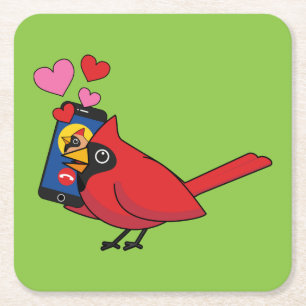 Cardinal Bird Love Mating Calls Square Paper Coaster