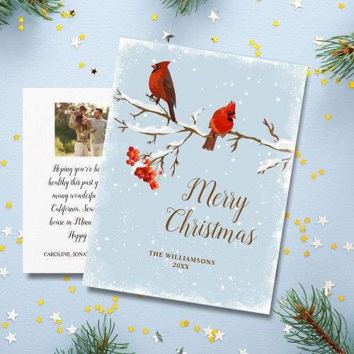 Cardinal Bird Merry Christmas Family Photo Postcar Postcard