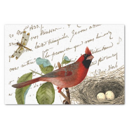 Cardinal Bird Nest Dragonfly French Script Music  Tissue Paper