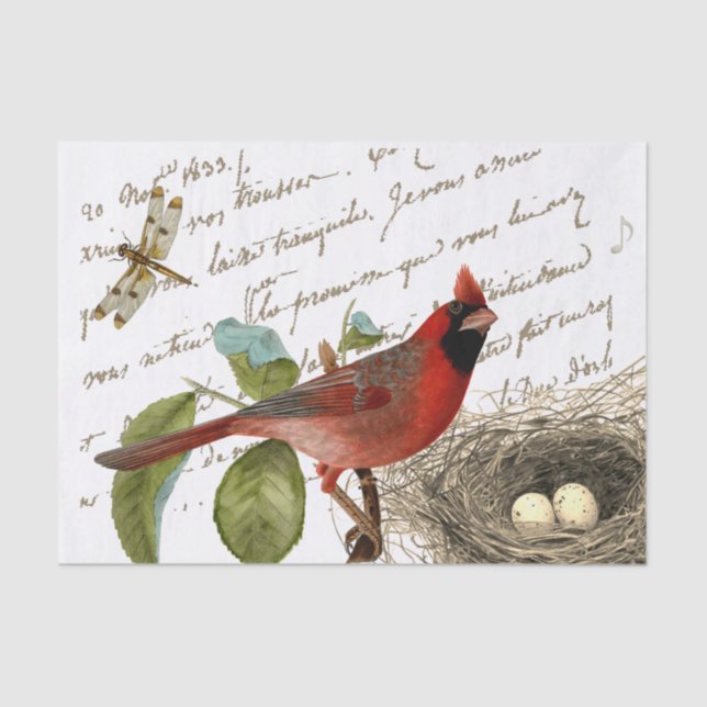 Cardinal Bird Nest Dragonfly French Script Music  Tissue Paper (Front)