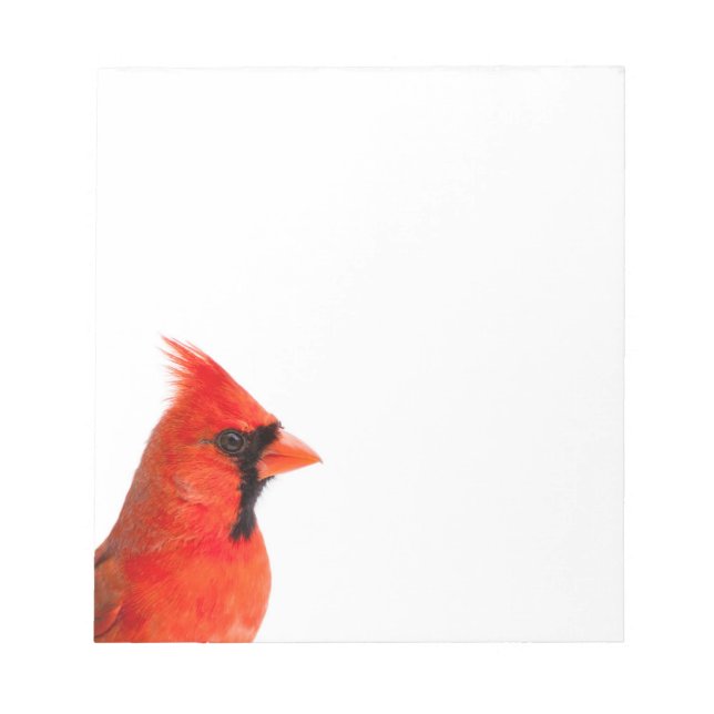 Cardinal Bird Notepad (Front)