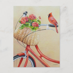 Cardinal Bird Perched on Bicycle Watercolor Art Postcard