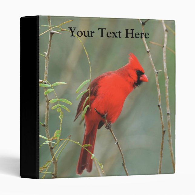 Cardinal Bird Photo 3 Ring Binder (Front/Spine)