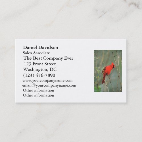 Cardinal Bird Photo Business Card