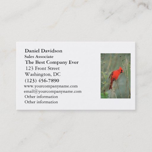 Customizable Cardinal Bird Photo Business Card