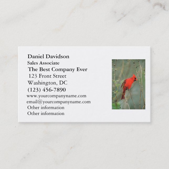 Cardinal Bird Photo Business Card (Front)