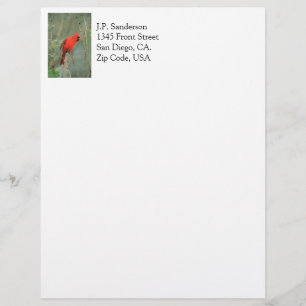 Cardinal Bird Photo Letterhead