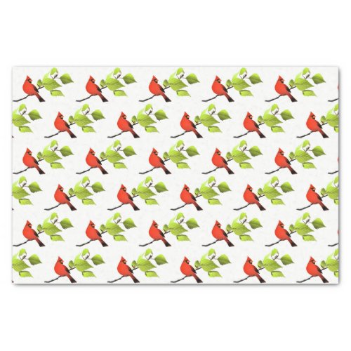 Cardinal Bird Red  Tissue Paper