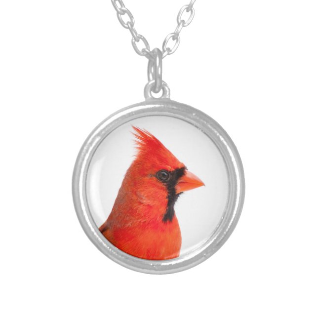 Cardinal Bird Silver Plated Necklace (Front)