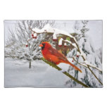 Cardinal Bird, Snow, Winter, Placemat at Zazzle