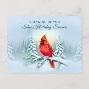 Cardinal Bird Sympathy Condolence Christmas Winter Holiday Postcard