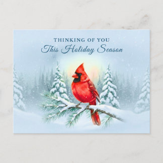 Cardinal Bird Sympathy Condolence Christmas Winter Holiday Postcard