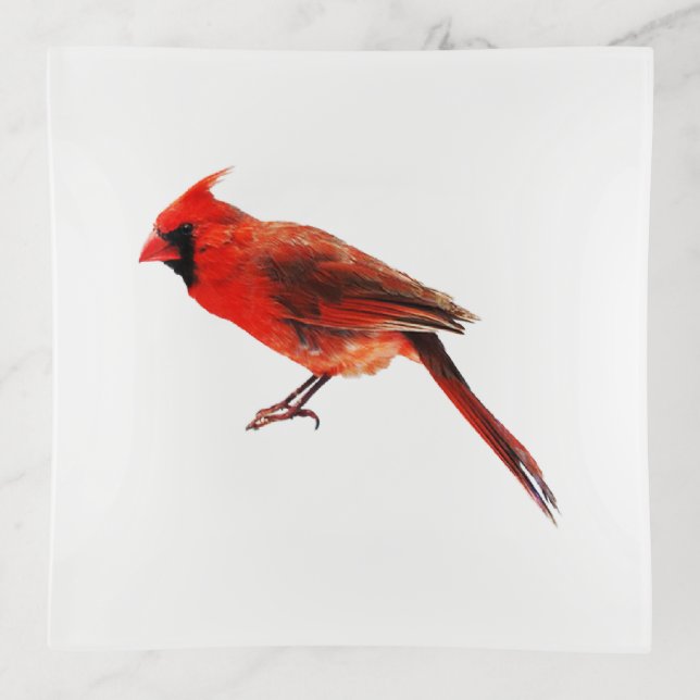 Cardinal (bird) trinket tray (Front)