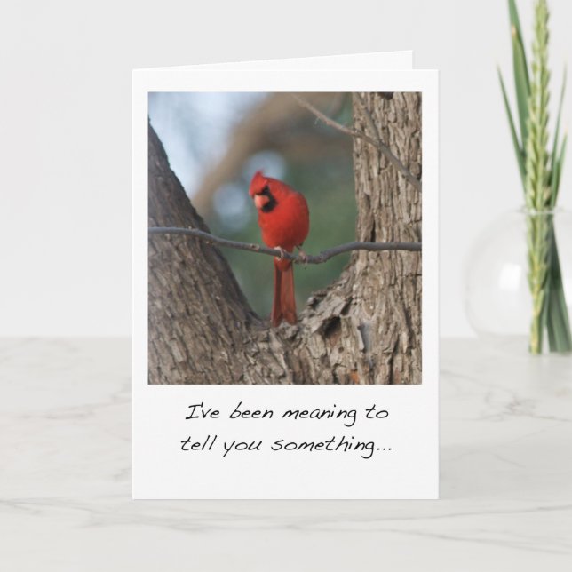 Cardinal Bird Valentine's Day Card (Front)