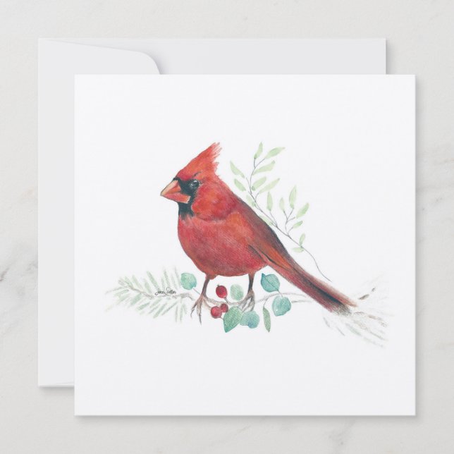 Cardinal Bird Watercolor (Front)