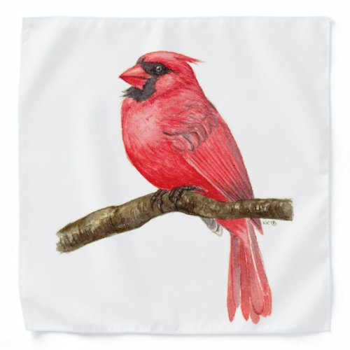 Cardinal bird watercolor bandana