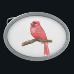 Cardinal bird watercolor belt buckle<br><div class="desc">illustration of a cardinal bird on a branch painted with watercolors,  you can see painting process here: http://bit.ly/2zCeRZe</div>