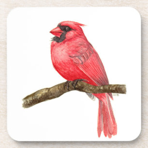 Cardinal bird watercolor beverage coaster
