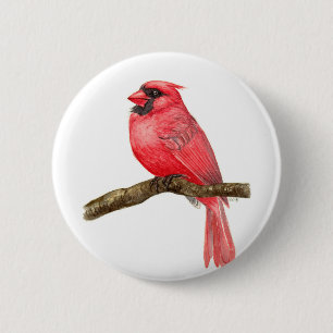 Cardinal bird watercolor button