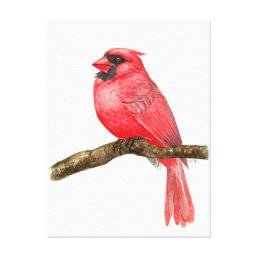 Cardinal bird watercolor canvas print