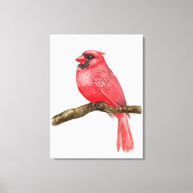 Cardinal bird watercolor canvas print (Front)